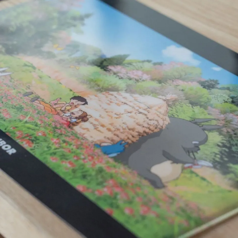 A4 Size Clear Folder Afternoon - My Neighbour Totoro