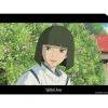 A4 Size Clear Folder Haku - Sprited Away