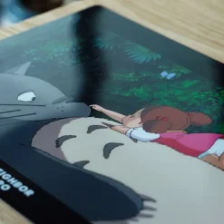 A4 Size Clear Folder On The Tummy - My Neighbour Totoro