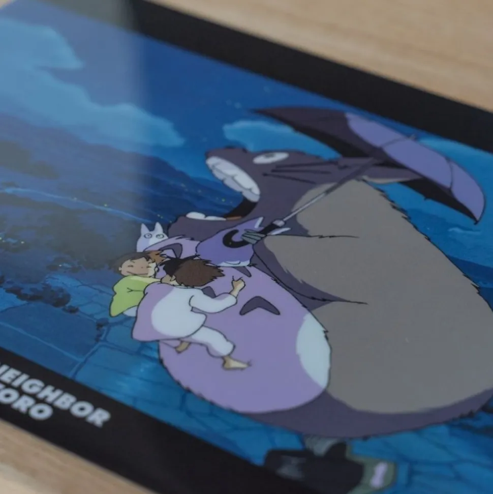 A4 Size Clear Folder Walk Of The Night Sky - My Neighbour Totoro