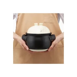 Banko-Yaki Rice Pot 1000Ml - My Neighbor Totoro