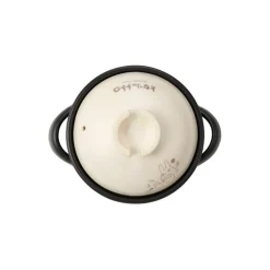 Banko-Yaki Rice Pot 1000Ml - My Neighbor Totoro