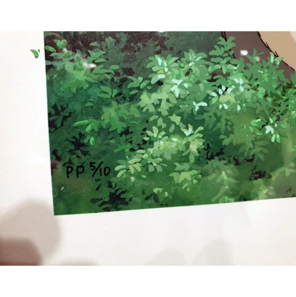 Cel Art Totoro On A Summer Day - Studio Ghibli