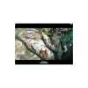 Clear File A4 Kodama'S Forest - Princess Mononoke