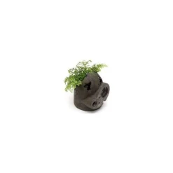 Planter Robot Soldier'S Thought - Castle In The Sky