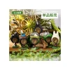 Pose Collection Totoro Assortment Of 6 Rings - My Neighbor Totoro