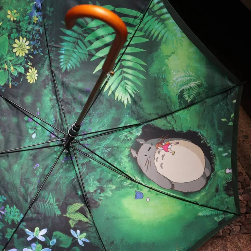 Umbrella Mysterious Encounter - My Neighbor Totoro